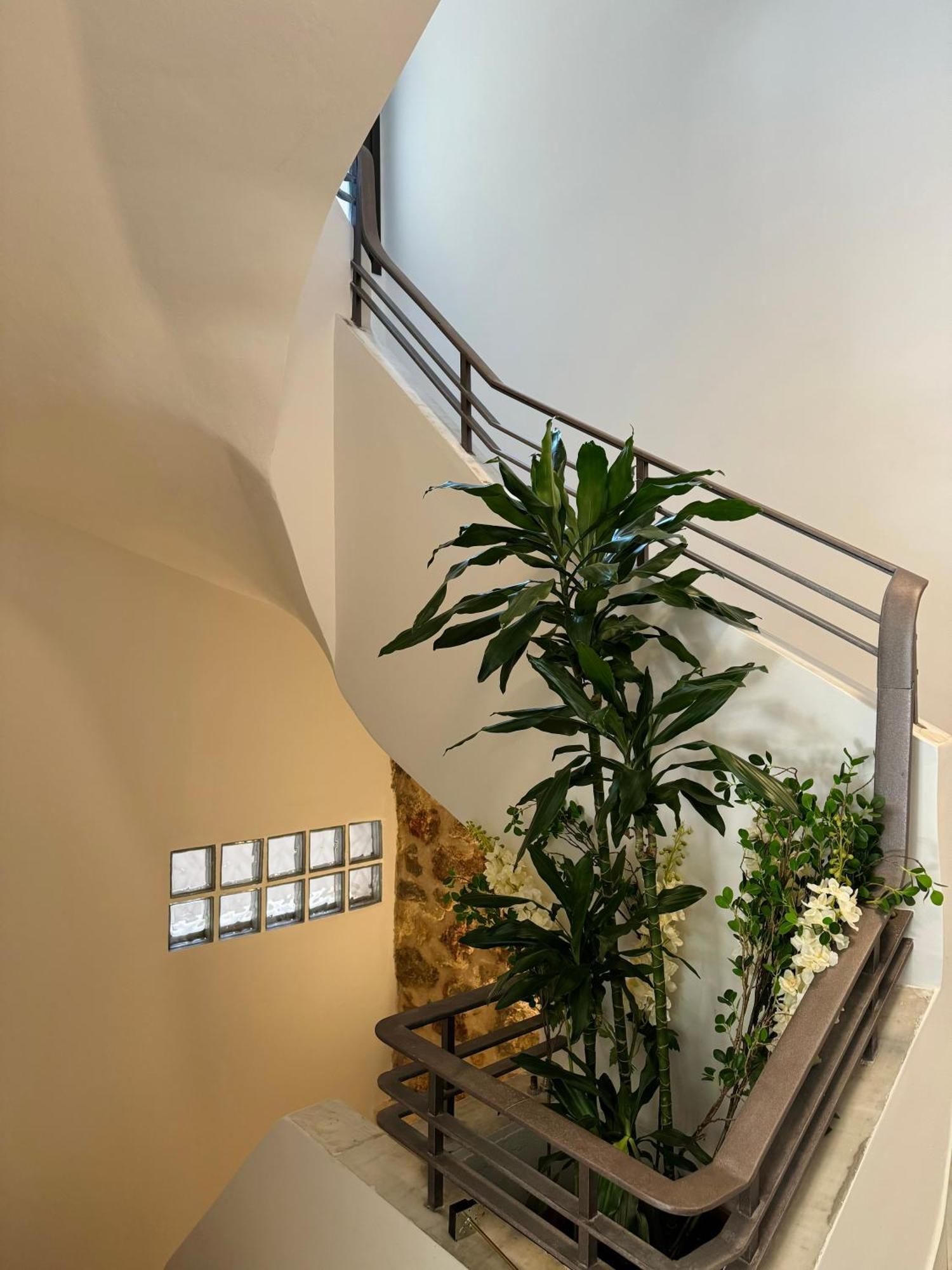 Charming 2br Basement Near Akropolis By Kozy Koala Apartment Athens